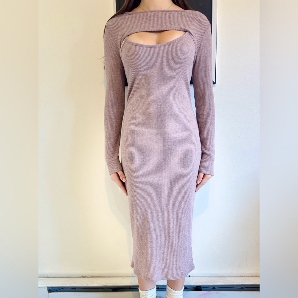 Wild Fable Mauve Dress